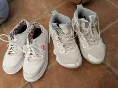 Item thumbnail for item 36930930-54e1-4c6a-b5b1-4785e2ddcdd5