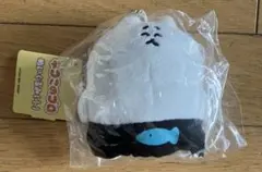 STUDY優作　ネコこのゴロ　ぬいぐるみ(小) マスコット