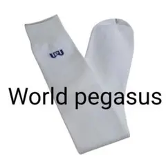 《未使用》Worldpegasus ワールドペガサス 野球アンダーソックス