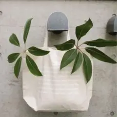 Item thumbnail for item 15ef0239-ecb8-4768-9033-959f5f0e3499