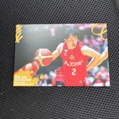 非売品 Bリーグ 名古屋ダイヤモンドドルフィンズ 齋藤拓実 フォトカード 写真