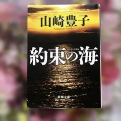 約束の海 山崎豊子