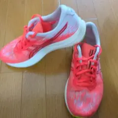 エボライドスピード2　28センチ