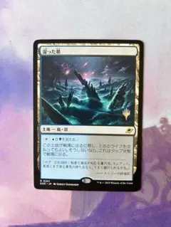 MTG 湿った墓　日本語