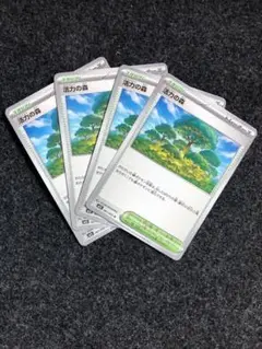 活力の森 4枚