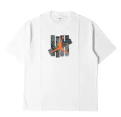 【美品】 UNDEFEATED NIKE JORDAN ナイキ Tシャツ