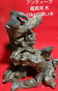 Item thumbnail for item 117ed9c4-88db-4fca-a393-784c590e50e7