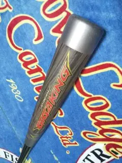 Item thumbnail for item 3c6bee4c-ec41-4c8c-9527-6c379aa87410