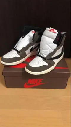 Travis Scott AJ1