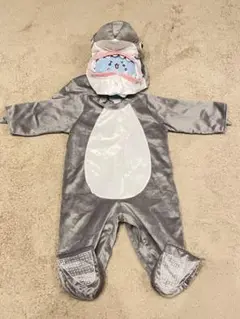 Item thumbnail for item 30db6775-da2b-4408-83db-62ee28acc846