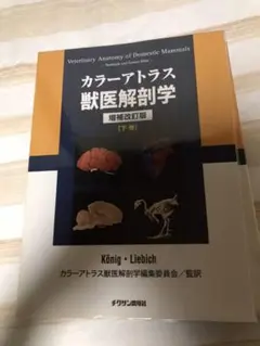 2025年最新】カラーアトラス獣医解剖学〈下巻〉の人気アイテム