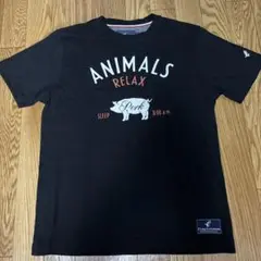 【未使用美品】Flying Scotsman 黒 Tシャツ M