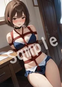 1点物 JK アニメ ファンアート A4 ポスター イラスト ★00135785