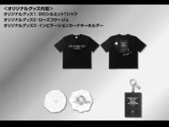 Item thumbnail for item 8f036d0b-1380-4f4f-ba26-6e4608094d6f