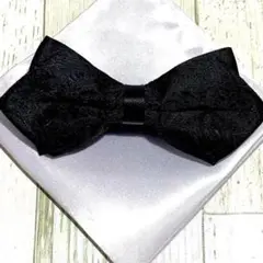 Item thumbnail for item f29265ca-b43e-4d45-910b-be25a1390f2e