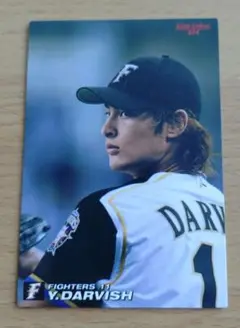 カルビープロ野球チップス2008 ダルビッシュ有（北海道日本ハム）No.244
