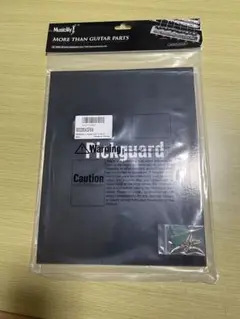 Item thumbnail for item e2abaac3-b2cc-476d-9aa6-275116e49f6a