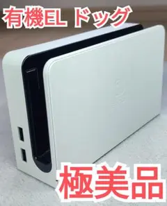 【極美品】純正品　任天堂　Switch　ドッグのみ