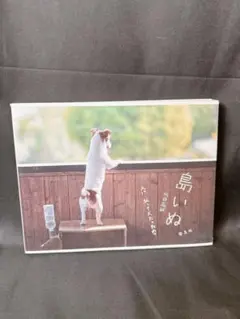 島いぬ : え!?私って犬だったの?