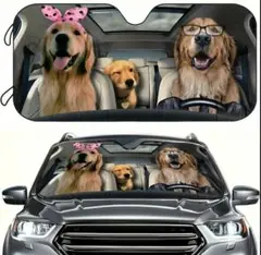 Item thumbnail for item e4fb5460-4fde-46ab-854d-b679a13995ff