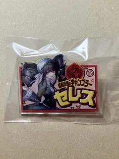 セレスティア・ルーデンベルク ドンキホーテ アクリルバッジ