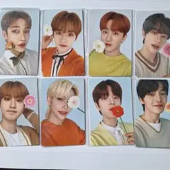 NACIFIC StrayKids　トレカ　コンプ　8枚