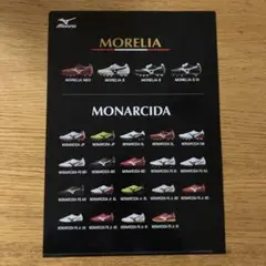 モナルシーダ　モレリア　クリアファイル　非売品
