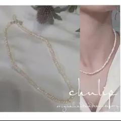 Item thumbnail for item 4fe94c4f-c3d7-492d-aecd-8da95f687240