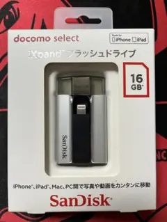 SanDisk SDIX-064G-2JD4 サンディスク