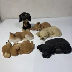 可愛らしい子犬（6匹）