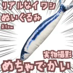 リアルなイワシ　ぬいぐるみ　さかな　鰯　5個セット【残3】