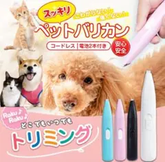 Item thumbnail for item 41276385-3fd0-4e26-bc7d-4435971e555a