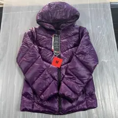 Item thumbnail for item 9b02ade2-2365-4697-aa7b-3b77d88413f7