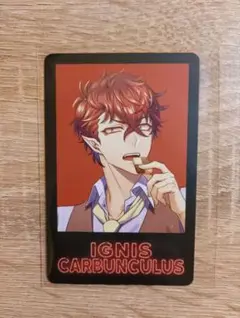 アンシャンテ AGF カード イグニス