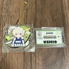 エイトリ 18trip 潮 アクキー アクスタ