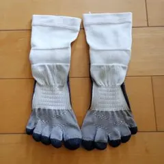 Item thumbnail for item 4cc9f46b-6bfe-49e4-8b70-03469767a10d