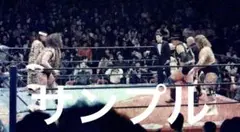 プロレス生写真　ハンセン・ゴディ　vs ブロディ・スヌーカ　17枚1組