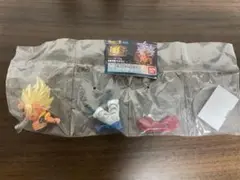 Item thumbnail for item 5a513a16-30a0-4d88-8df9-64ff94f84a71
