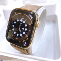 Apple Watch series7 45mm GPS+セルラー ステンレス