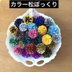 ★カラー松ぼっくり★