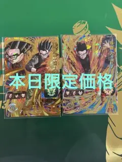 Item thumbnail for item 71d83138-34a0-4aca-9c88-2e8456f9043f