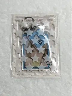 aespa ウィンター　シーグリ　ポップアップ　アクリルキーホルダー