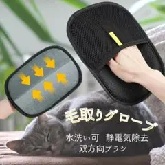 Item thumbnail for item 67c09695-eba9-46c4-b535-61f2cbfe65ff