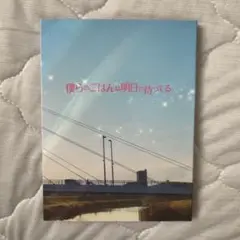 僕のごはんは明日で待ってる