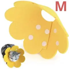 Item thumbnail for item ecb95eb1-2961-439a-98d0-a40267ac9b7d