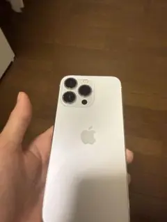 Apple iPhone 13Pro本体