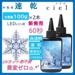 ✨速乾u0026黄変ゼロ✨レジン液シエル100g2本