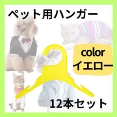 Item thumbnail for item dc2b404c-0211-48ee-9445-ea0fae4d9621
