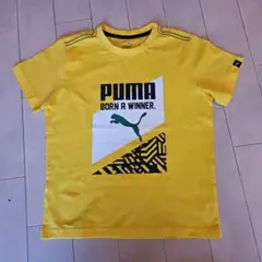 新品　PUMA イエロー Tシャツ
