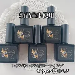 レジン レジン液コーティング 12g×5本セット